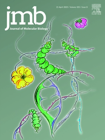 Outside-Front-Cover_2023_Journal-of-Molecular-Biology_Spies-Washington