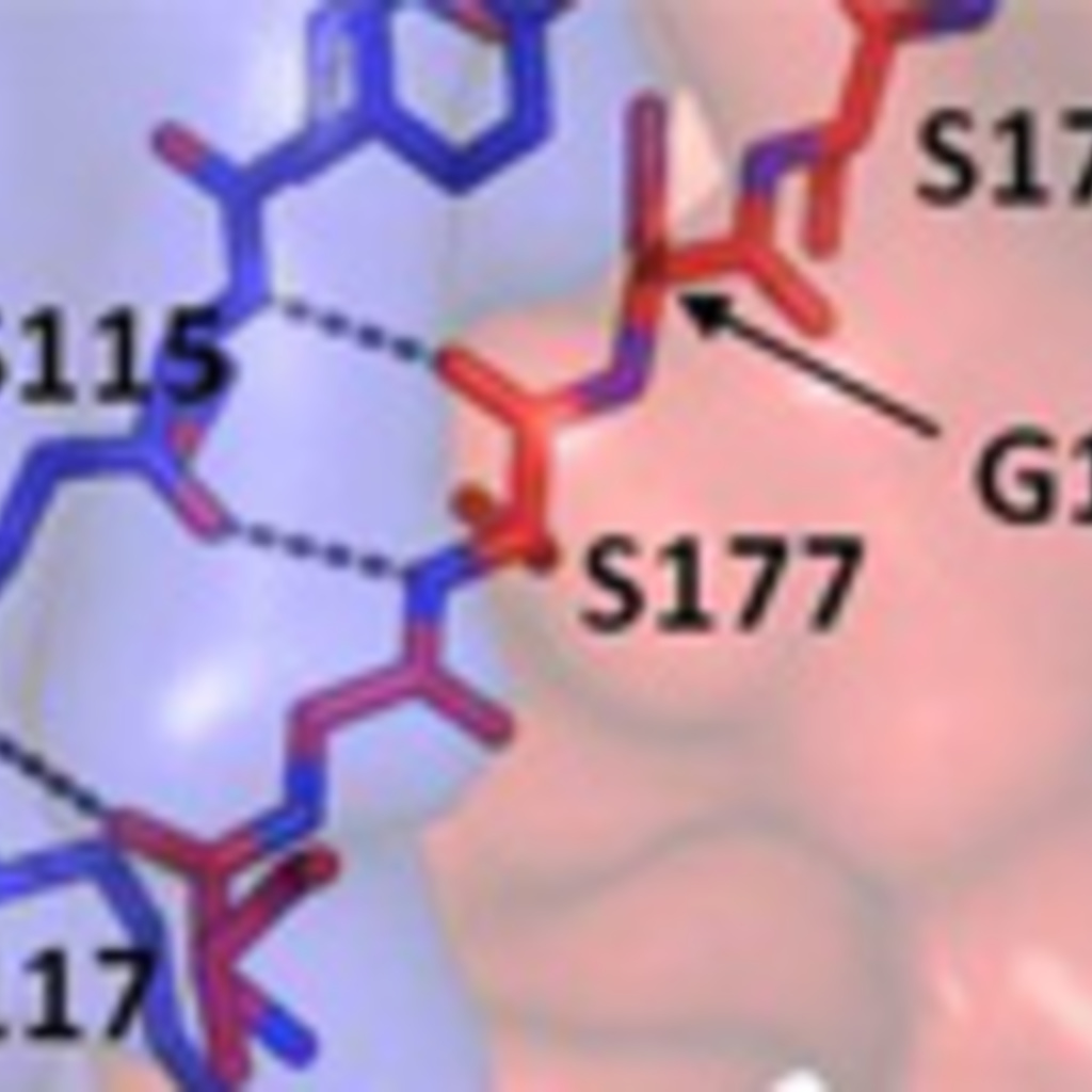 Image of enzyme mechanisms