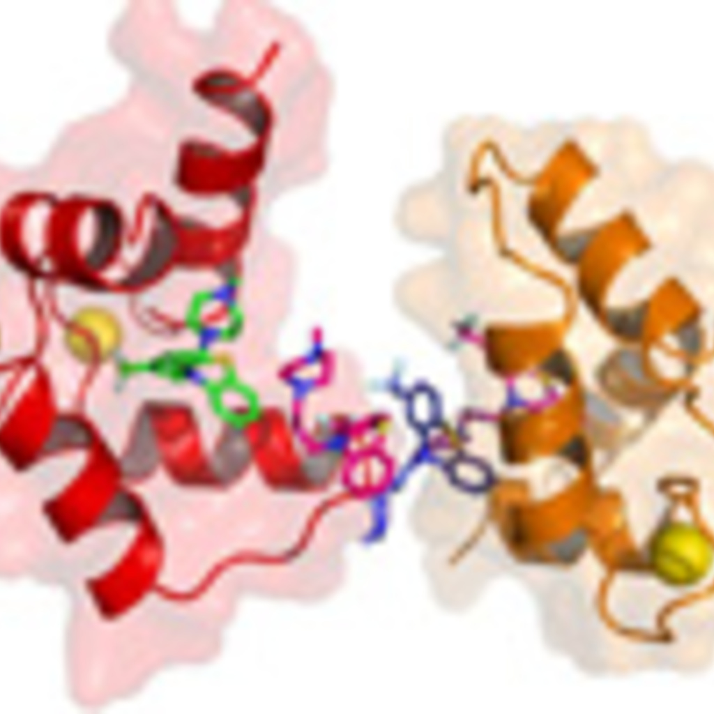 Molecular Recognition