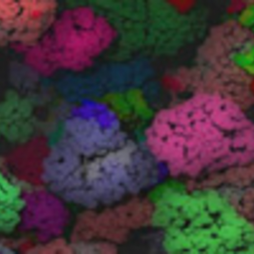 Structural and Computational Biology