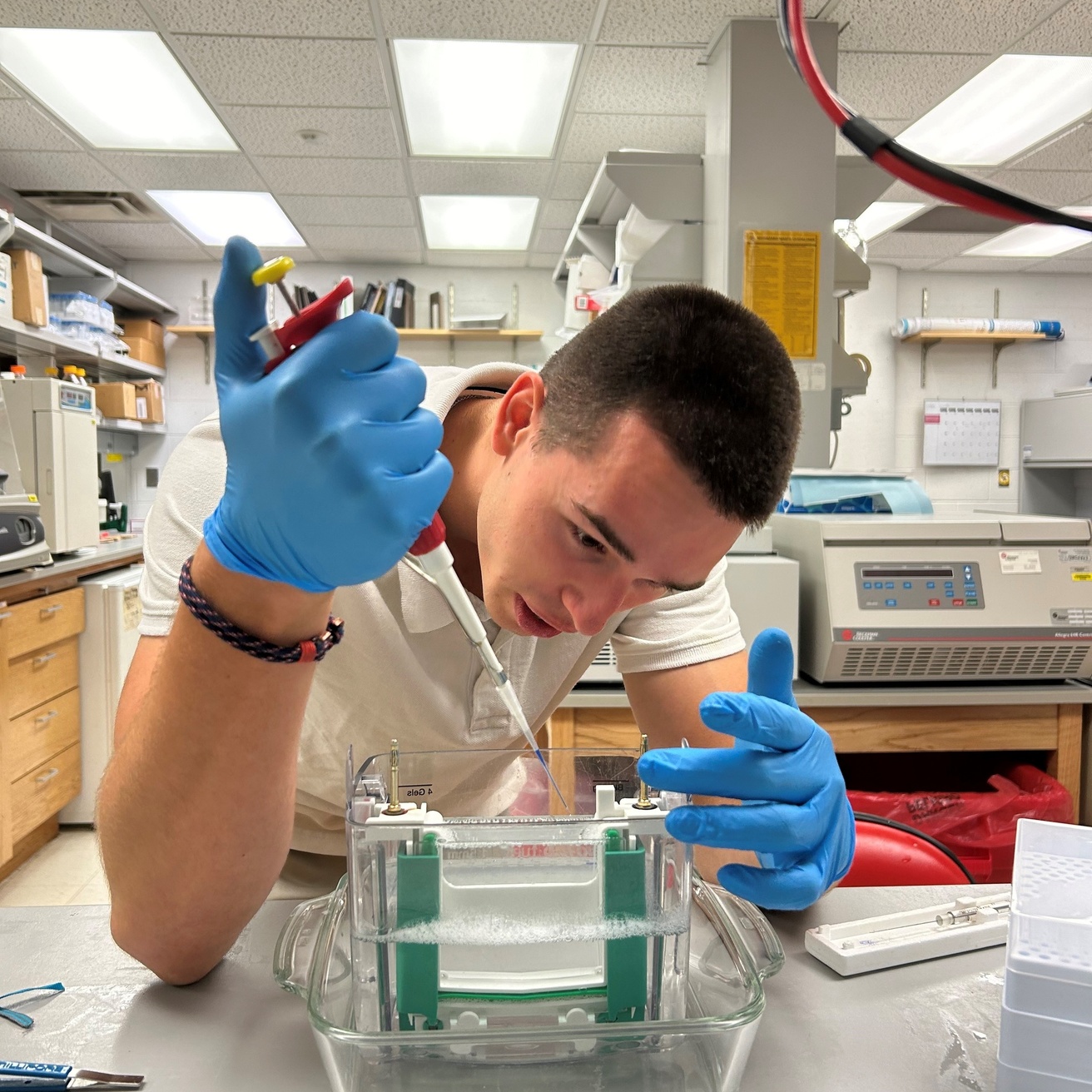 Image of undergraduate student in the lab