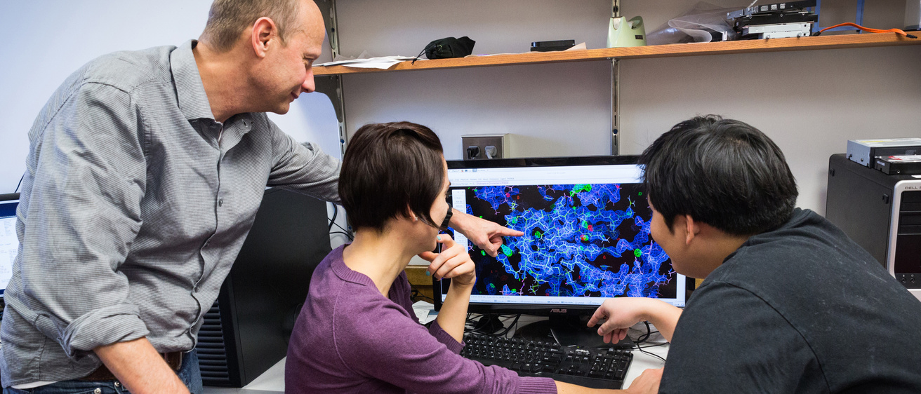 Image of faculty member mentoring two graduate students