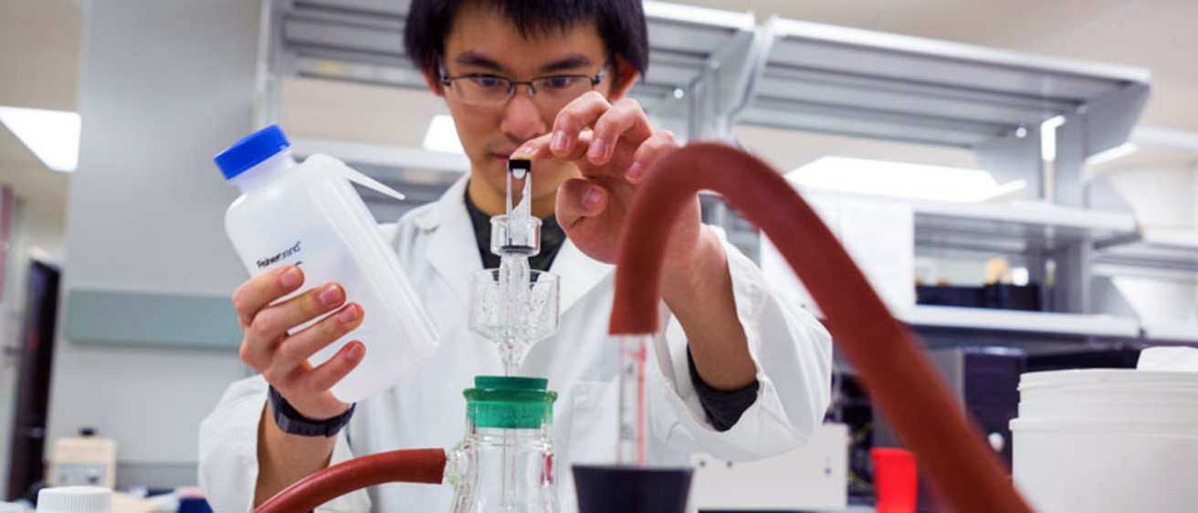 Image of undergraduate student in the lab
