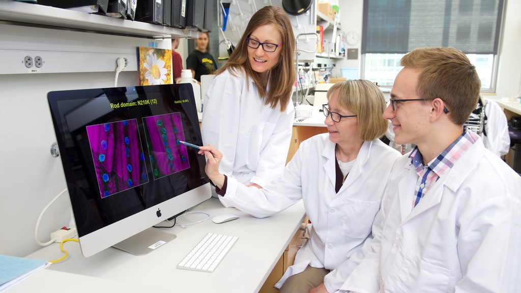 Lori Wallrath lab