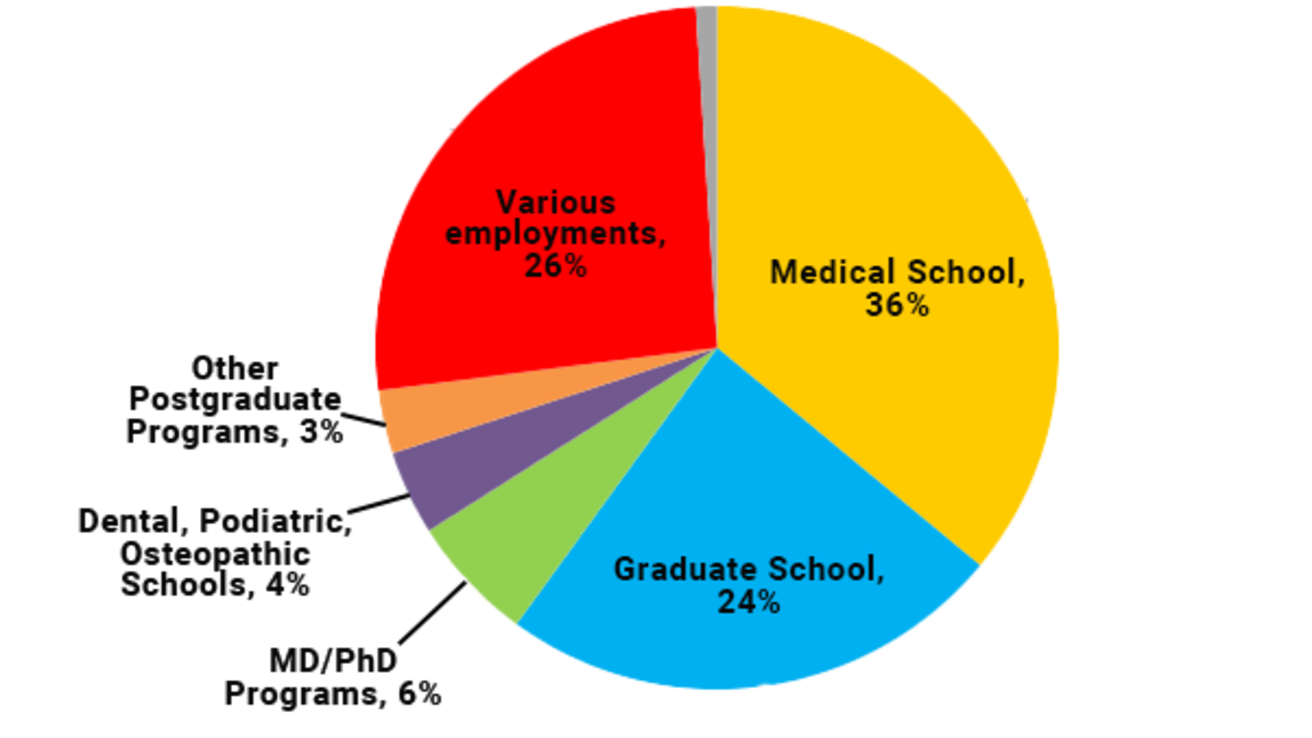 Pie chart displaying career paths of former graduates